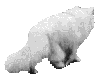 ich geh zu pussy-maus.de